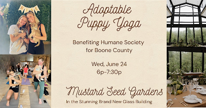 Puppy Yoga at Mustard Seed Gardens - Downward Dog & Adoptable Puppies
