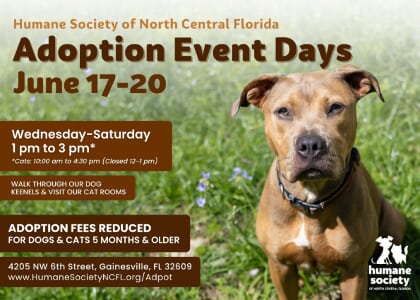 June Adoption Event Days @ HSNCF