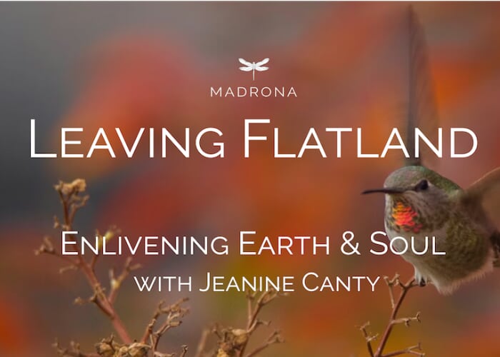Enlivening Earth and Soul Workshop with Jeanine Canty, PhD