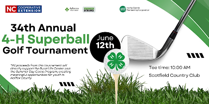 34th Annual 4-H Superball Golf Tournament