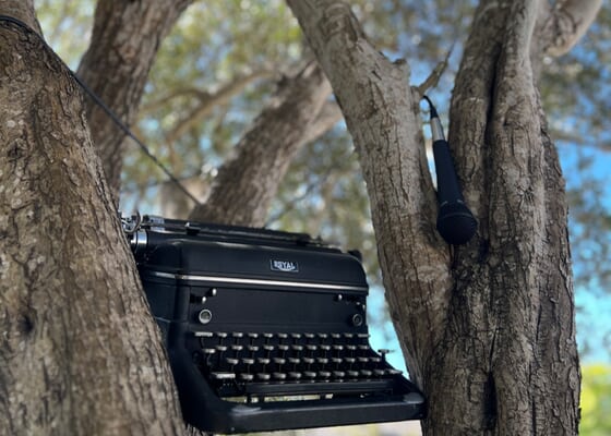 The Olive Tree: A Santa Cruz Poetry Open Mic