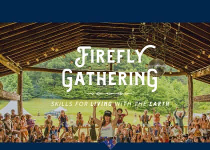 Firefly Gathering