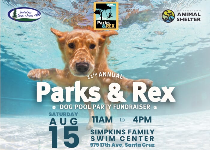11th Annual Parks & Rex Dog Pool Party Fundraiser!