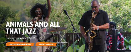 Animals and All That Jazz