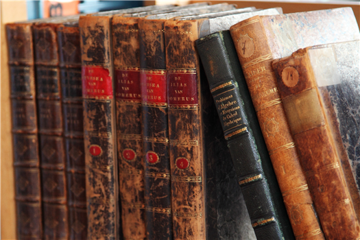 Canadian Black Literary Festival