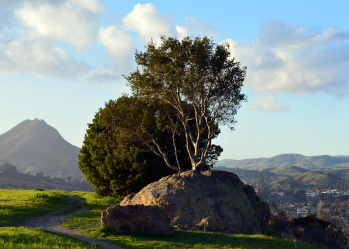 Terrace Hill Community Picnic