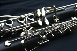 Tuneful Tales with the Austin Symphony Orchestra