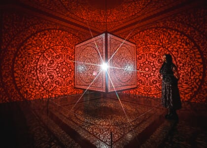 Anila Quayyum Agha: Interwoven