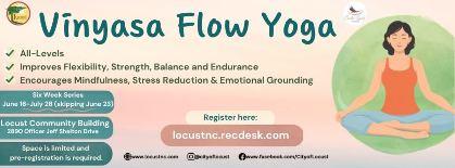 Vinyasa Flow Yoga Series
