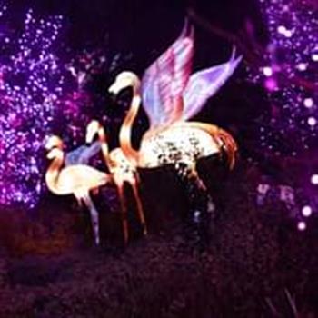 Pnc Festival Of Lights Wxix Fox 19 Calendar
