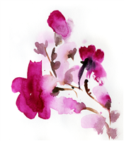 Watercolor