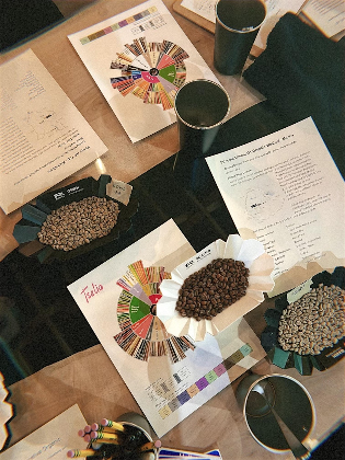 Hands-on Coffee Cupping Workshop at Tselia Coffee