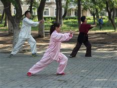 Instructional Tai Chi