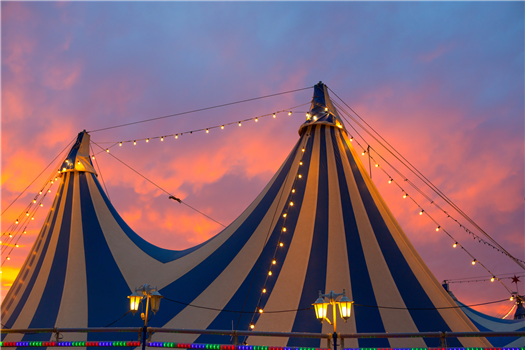 Kiwanis Ogeechee Fair 2022