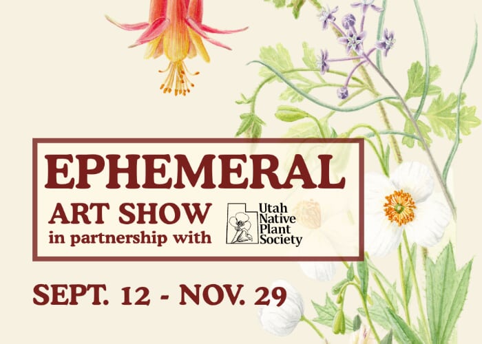 "Ephemeral" Art Exhibit