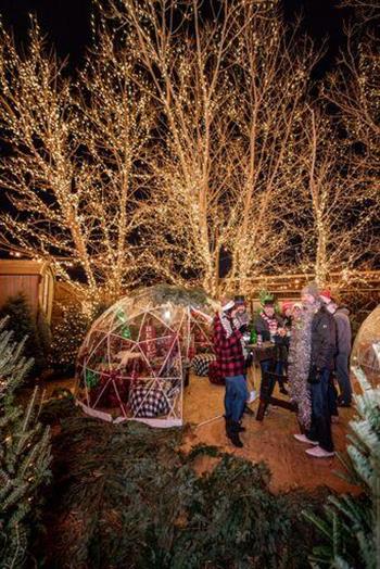 Jack Frost Winter Village Daily Herald Calendar