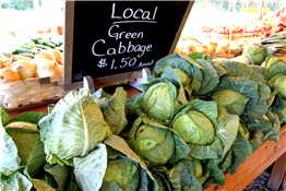 Holly Springs Farmers Market 8-noon