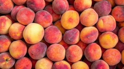 Peach Palooza