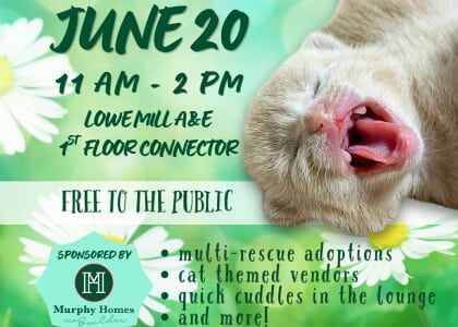Rocket City Kittypalooza 2026