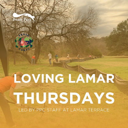 Loving Lamar Thursday at Lamar Terrace