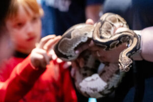 Animal Encounters