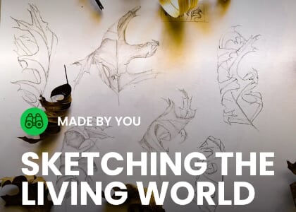 Made by You: Sketching the Living World