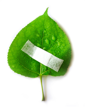 CommUniversity: Spring into Sustainability