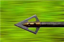 BEGINNER ARCHERY CLINICS