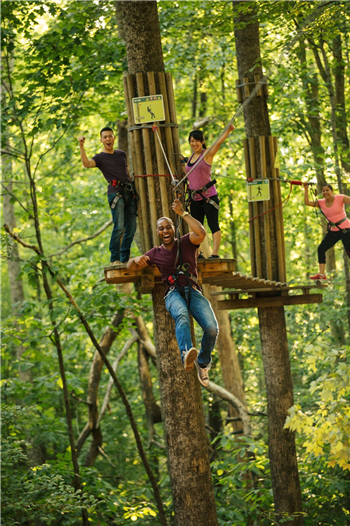 Go Ape Chicago Grand Re Opening Daily Herald Calendar