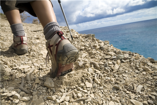 Haunted Hikes at the Garden City Bird Sanctuary