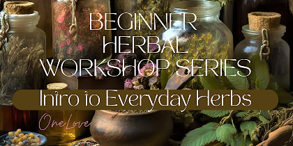 Herbal Foundations:  Introduction to Everyday Herbs