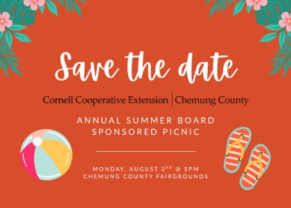 CCE Chemung's Annual Board Sponsored Picnic