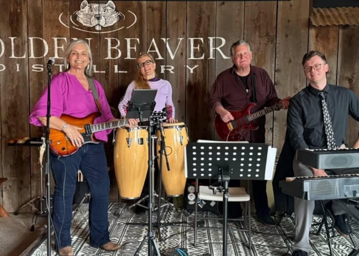 The Still House Band