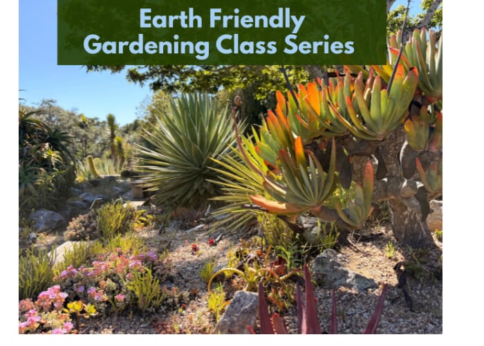 Earth Friendly Gardening Classes: Plant Selection