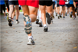 Cannonball Running Festival