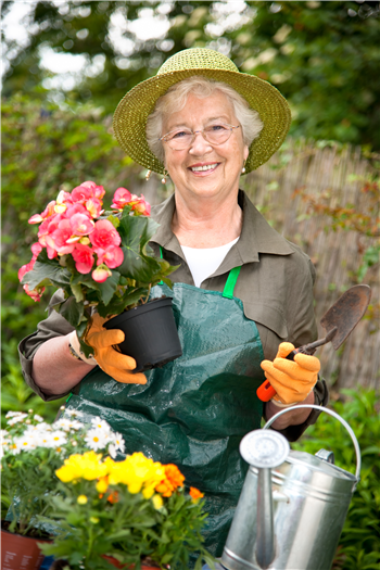 Nantucket Garden Club 2024 House Tour "A Pleasant Summer Stroll"