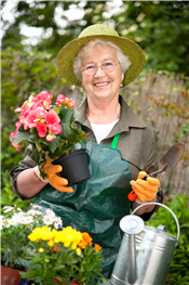 Father's Day Bonsai Workshop