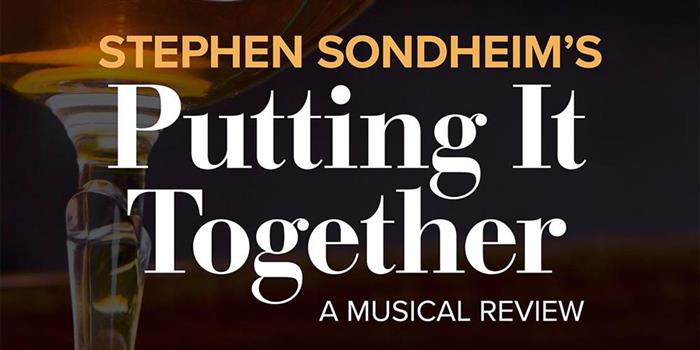 Putting It Together: A Musical Review [DVD]
