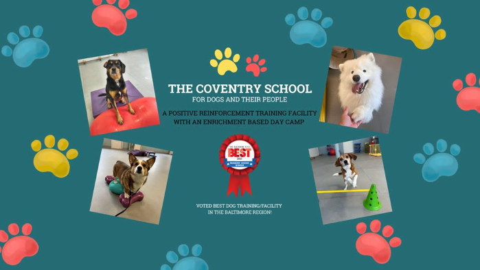 Puppy Socials at The Coventry School