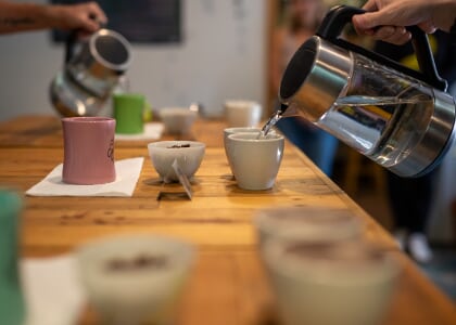 Coffee Tasting at Cooperative Coffee Roasters
