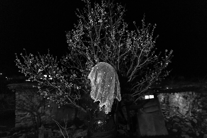 International Photography Competition 2026: Opening Reception