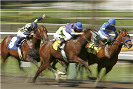 Keeneland Library Presents Foundations: Sires and Dams Who Shaped the Evolution of the Thoroughbred