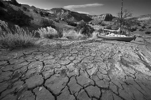 Discounts to Lion Country Safari | Palm Beach on the Cheap