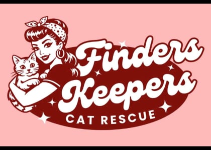 2nd Annual Kitten Season is a Draggggg Variety Show