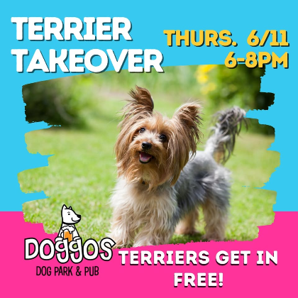 Terrier Takeover