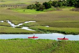 Marsh Kayaking