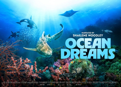 Special Screening: Ocean Dreams 3D featuring Dr. Erin Meyer