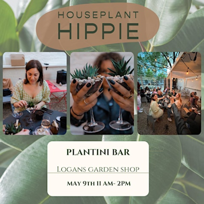 Plantini Bar