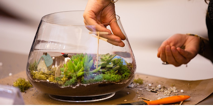 Build Your Own Terrarium Workshop