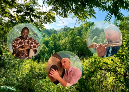 The Forest Dwellers